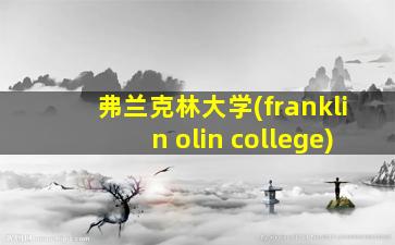 弗兰克林大学(franklin olin college)